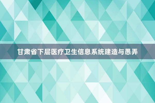 甘肃省下层医疗卫生信息系统建造与愚弄