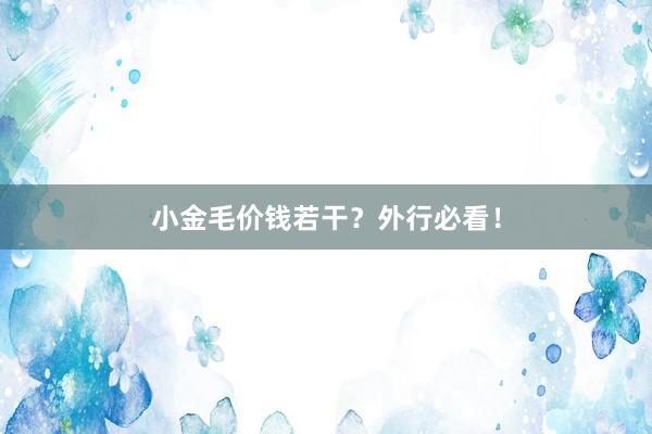 小金毛价钱若干？外行必看！